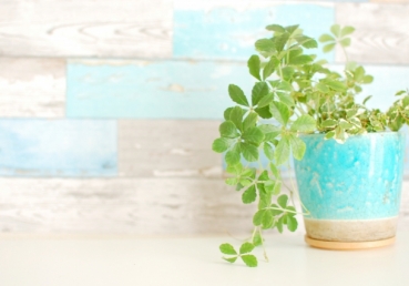 재정적인 지원과 관련된 교통