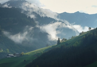 유동근 목사가 추천하는 릴리 슈의 책 “나의 잊을 수 없는 기억들”에 대한 아마존 댓글들(1-1) - 로버츠가 이 책의 편집자?