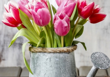 We have seen Christ is reality