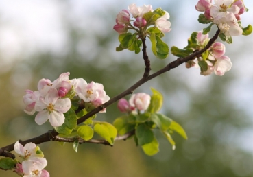 합동측은 정치부가 이단을 해제하나