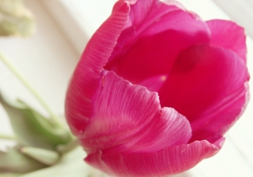 Choose to Be an Overcomer