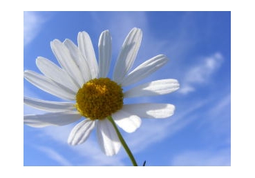 마태복음 25장의 열처녀에 대한 학설들 소개