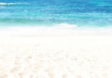 이인규 씨에 대한 고신교단의  이단 규정