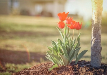 목양의 말씀 사이트 소개