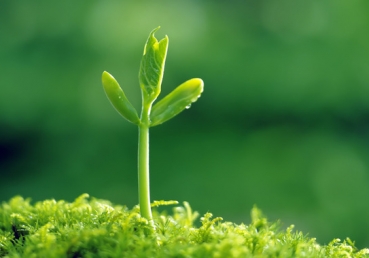 거듭남이란 무엇인가?