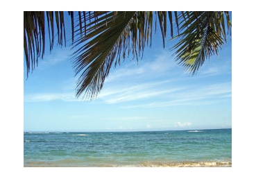 하나님의 구속의 방법