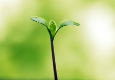 God the Creator became a God-man