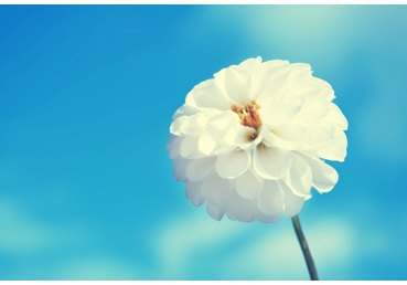 지방교회들의 핵심진리(4)- 주님이 생명주는 영이시라구요?