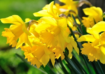 위트니스 리의 진술