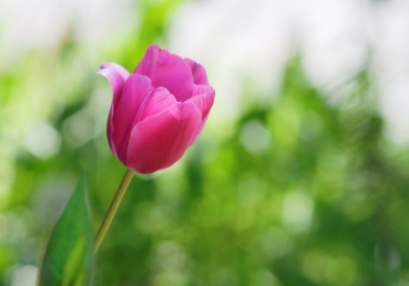 지방 교회측 토론글-나쁜 이단 사냥, 좋은 진리 분별(#1)