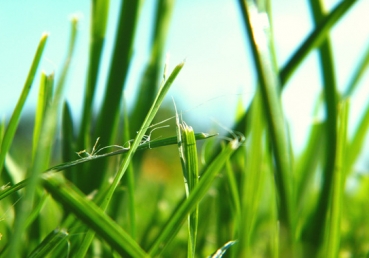 이단 최삼경과 관련 통합측 총회에 대한 우리의 요구 (성명서)
