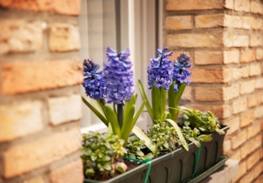 The Epistle to Titus