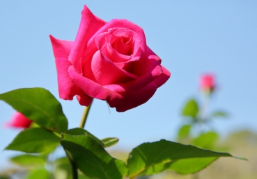 월간 종교와 진리 2016년 9월호 ‘전능신교’ 이단(현 하나님사랑 교회) 특집기사 중 지방 교회 관련 언급에 대한 항의 및 시정요청