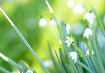 서로 경고하지 말아야 합니까?(한글)