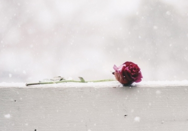 “지방교회, 왜 이단인가”라는 유튜브 동영상에 대한 반론 영상