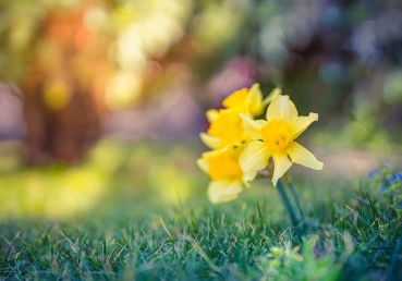 꿈을 가진 이상주의자가 아닌 이상을 가진 이기는 이들임