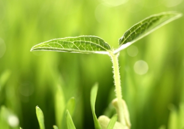 지방교회들 관련 두 가지 핵심 현안