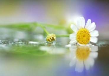 지방교회, 위트니스 리 그리고 「하나님-사람」의 논쟁에 대한 공개서한