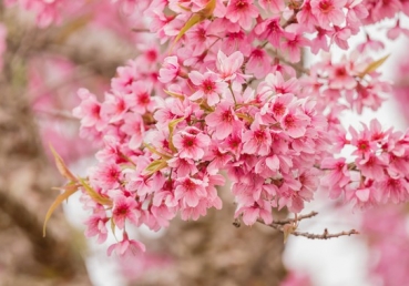 “지방교회, 왜 이단인가”라는 유튜브 동영상에 대한 반론글