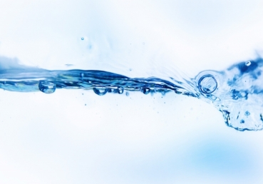 이인규씨, 양태론 비판에 대한 반론 한 눈에 보기