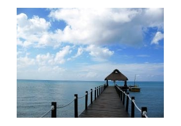 지방교회 측은 침례가 구원의 조건으로 삼는다”고 주장하고 있는데 사실인가