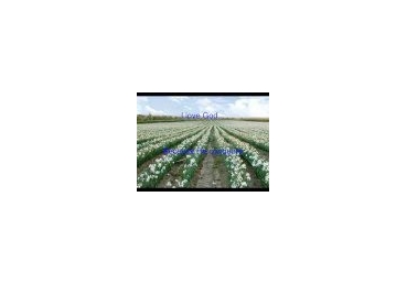 I love God because...