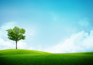 이인규 권사의 양태론 관련 글에 대한 반론권 요청