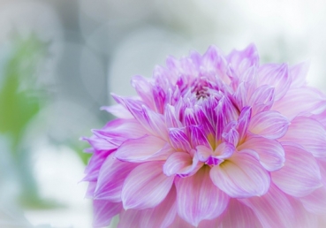 Gathered in Thy name, Lord Jesus