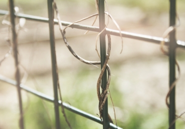 "이단" 범죄에 대한 가혹한 판결에 항소할 기회를 거부함