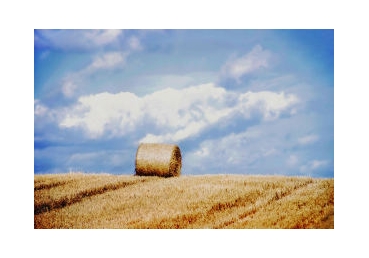 사도들의 가르침-십자가, 부활