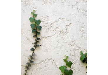 사역의 재고―서문, 머리말