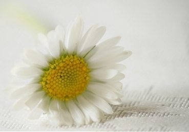 한국교계에 닫힌 핵심진리 - 『하나님의 경륜 (1), (2)』