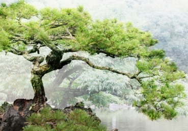 지방교회란 무엇인가?