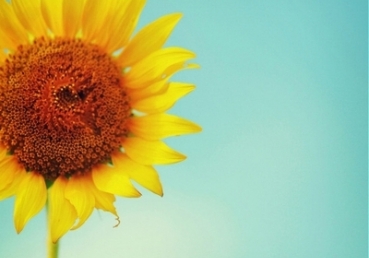 한국교계에 닫힌 핵심진리 - 『하나님의 경륜 (3), (4)』