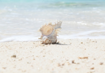 세대주의와 지방교회의 관계?(유동근 목사)