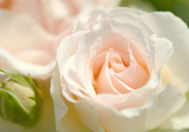 Christ is Everything for God's Building