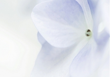 위트니스리―"구약에는 ‘성령’이 없었다"의 진의는 무엇이었나?