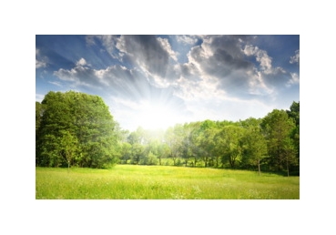 AN OPEN LETTER ― 새 예루살렘