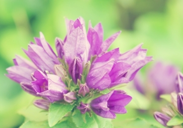 죽음을 퍼뜨리는 말들과 그것을 막는 법