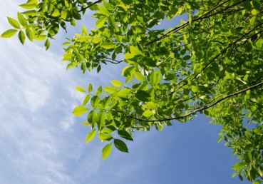 Since long ago at Bethany we parted