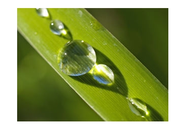 어떠한 이단인가 — 두 신성한 아버지, 두 생명 주는 영, 세 하나님!