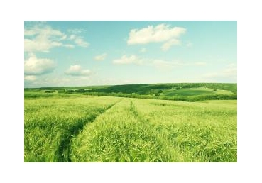 유기적으로 소그룹 집회를 실행함