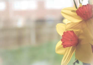 위트니스 리와 지방교회들이 “성경문답자”에게 답변함―신학적인 훈련에 관하여