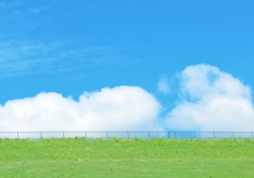 지방 입장의 허구성?(유동근 목사 외 1)