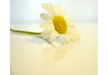 부활하신 그리스도와 성령의 관계