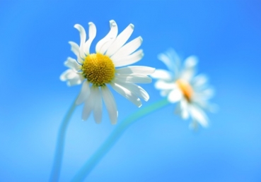 I might fail but I will never be forsaken