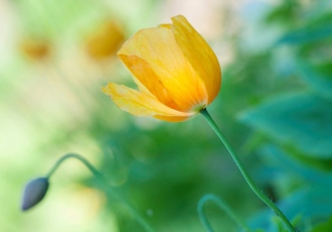 지방입장 비판에 대한 지방교회 측의 반론(2)