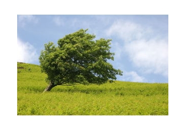 사역의 하나에 대한 공과