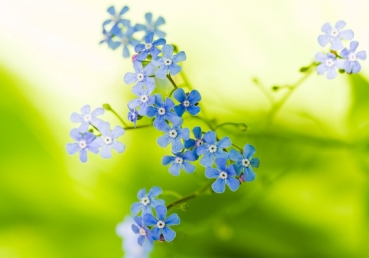 성경적인 교회관-부록2( 총신대 정일웅 교수님의 지역중심 교회제도)