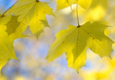 Day by day, and with each passing moment